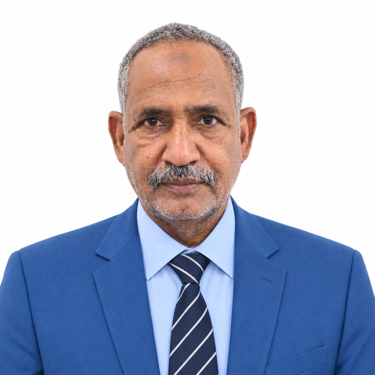 أ.د. صلاح محمد إبراهيم أحمد