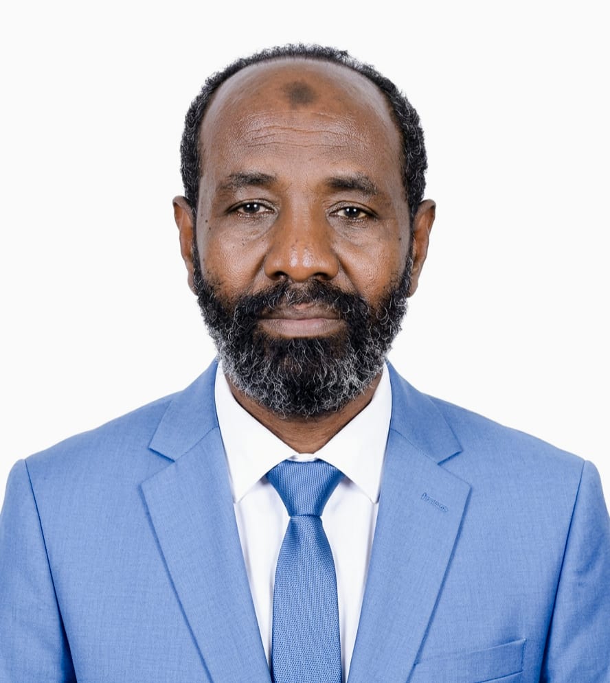 T. Mohammad El-Hassan Abdallah Al-Amin