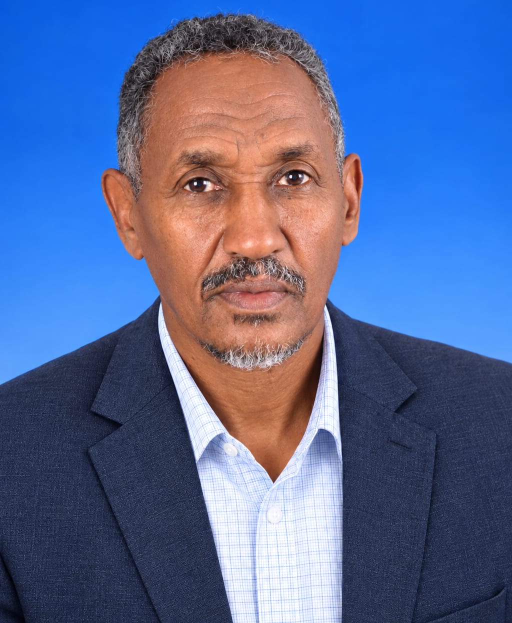 د. عباس الخضر محمد خير