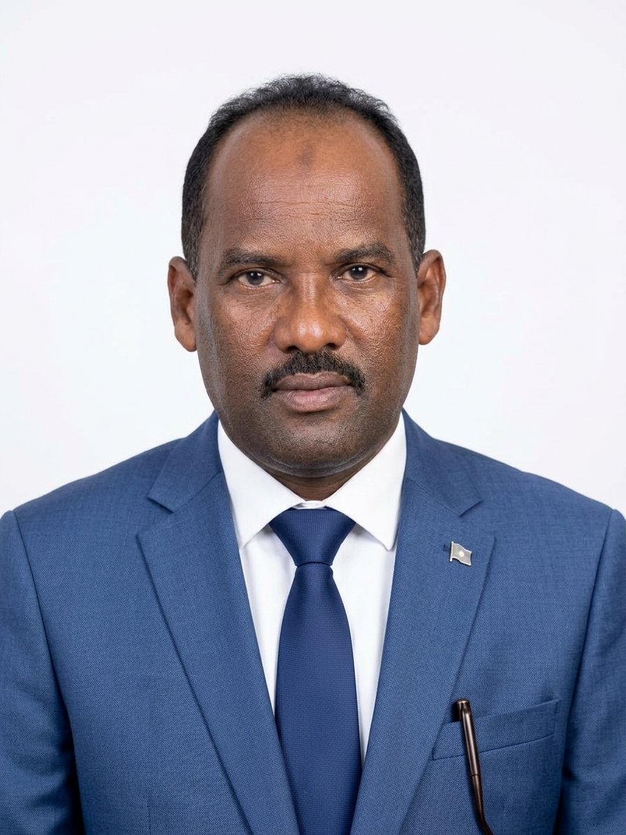 د. حسن محمد عبد العال المكاشفي