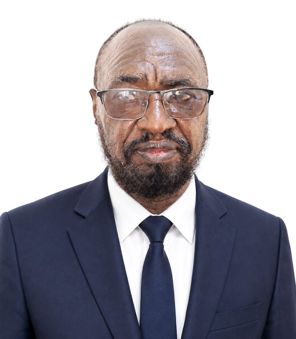 Dr. Elamin mahmoud Abd Elmajeed hassan